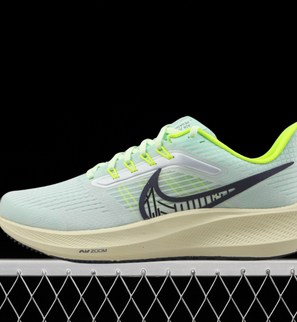 Tênis Nike Air Zoom Pegasus (2)